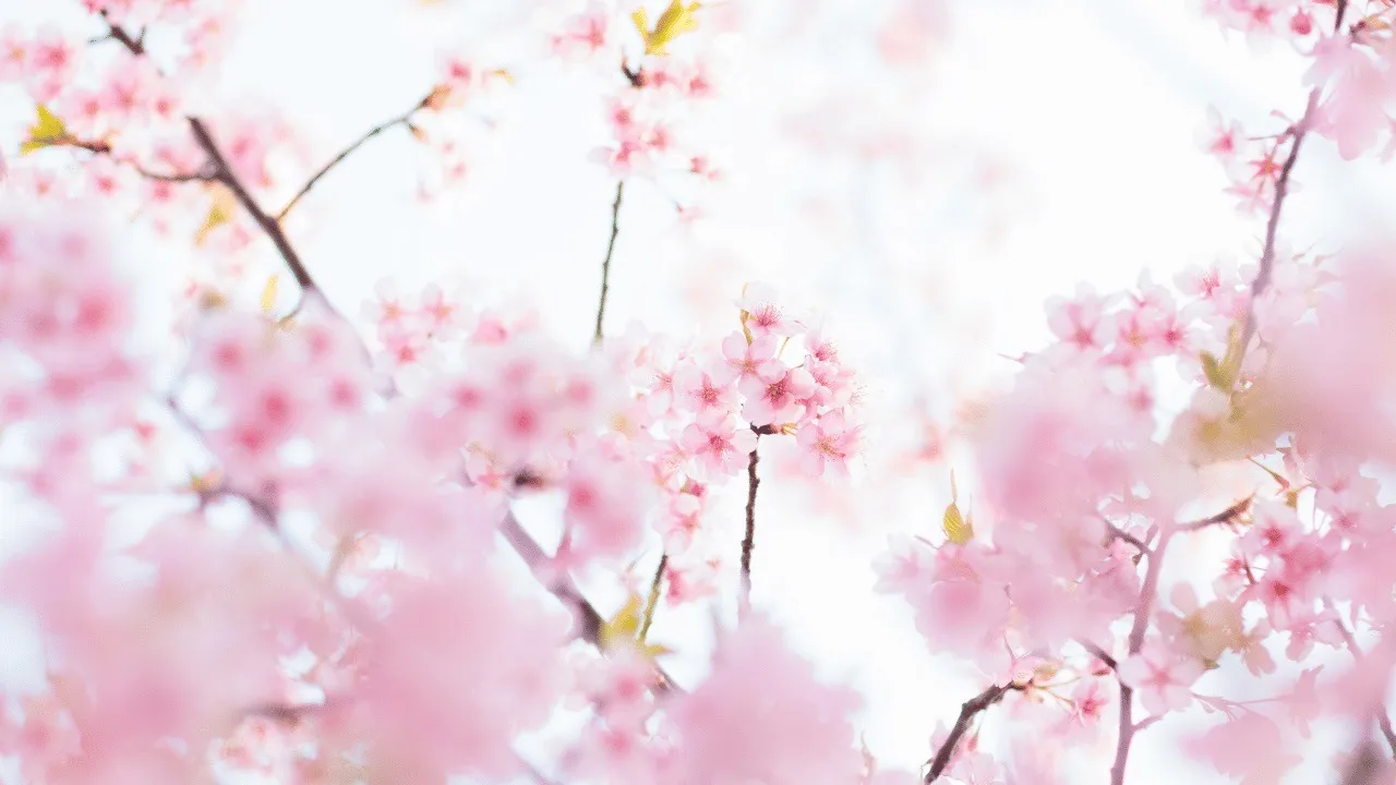 「知識だけでは変わらない」現場で求められる栄養士の役割とは?|雇用・フリーランス問わず大切な考え方